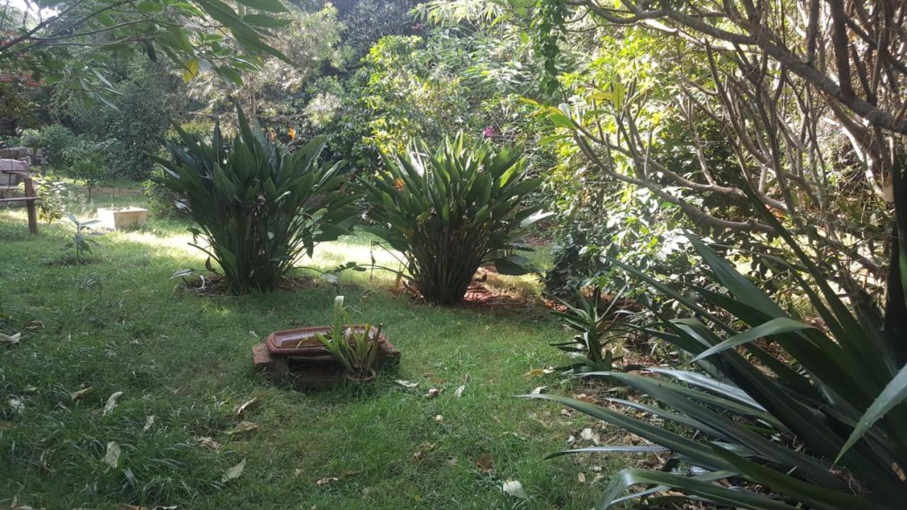 The Cottage-Place Of Grace 2Bdrm And Loft Bed All 4U At Usd58 Nairobi Buitenkant foto