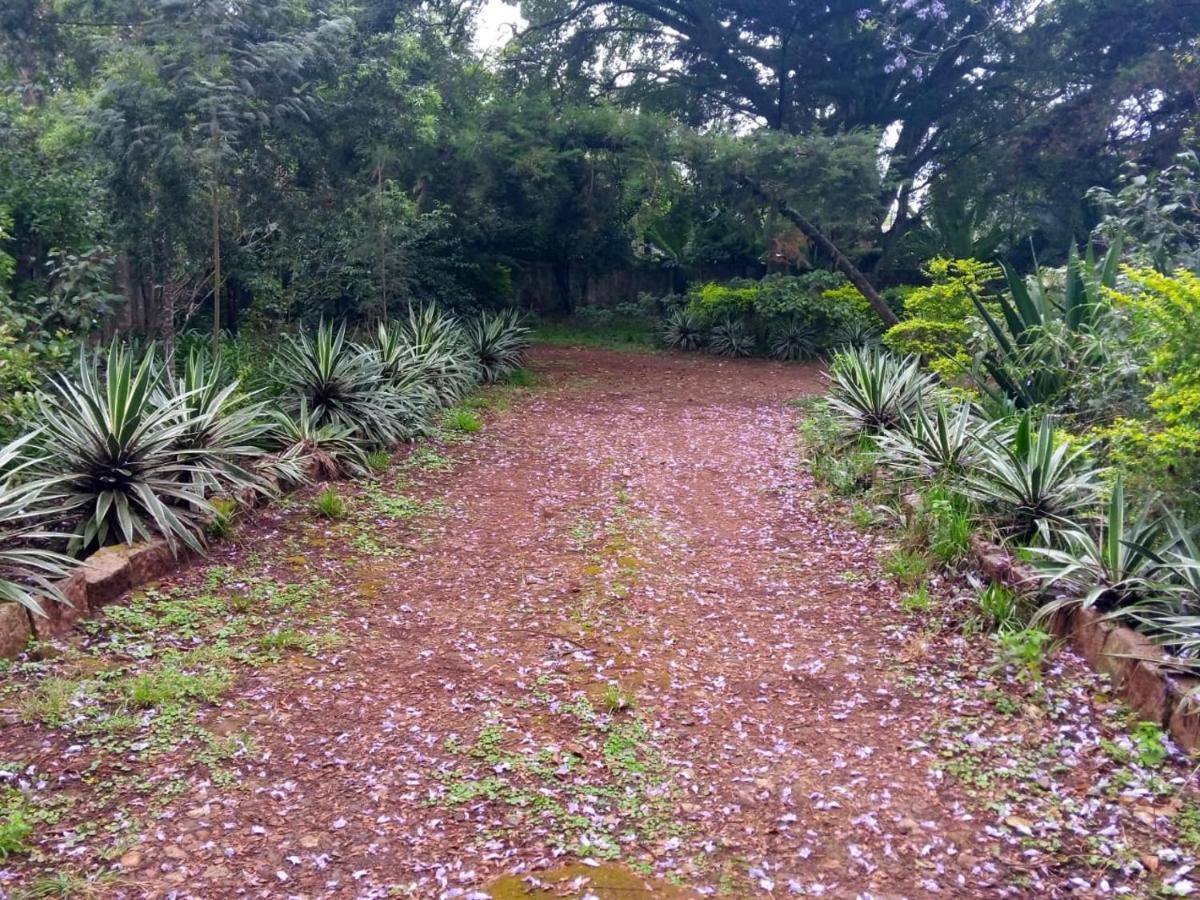 The Cottage-Place Of Grace 2Bdrm And Loft Bed All 4U At Usd58 Nairobi Buitenkant foto