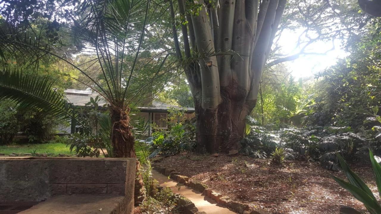 The Cottage-Place Of Grace 2Bdrm And Loft Bed All 4U At Usd58 Nairobi Buitenkant foto