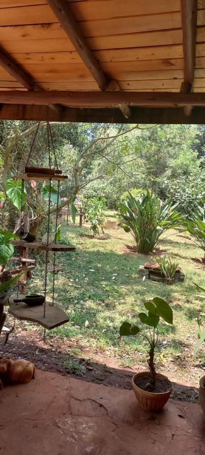 The Cottage-Place Of Grace 2Bdrm And Loft Bed All 4U At Usd58 Nairobi Buitenkant foto